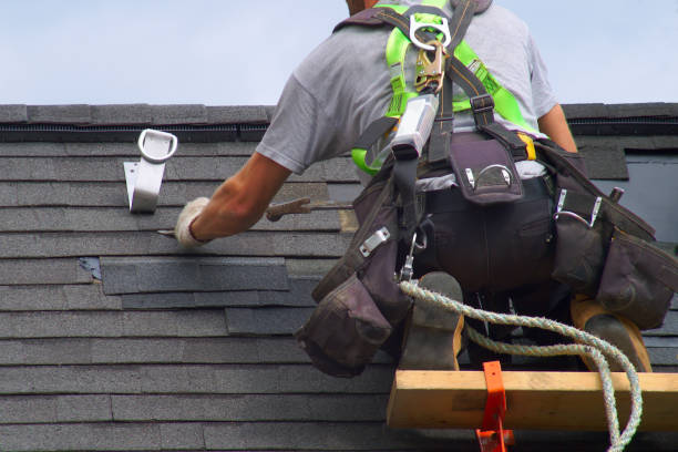 Best Roof Gutter Cleaning  in Hill N Dale, FL