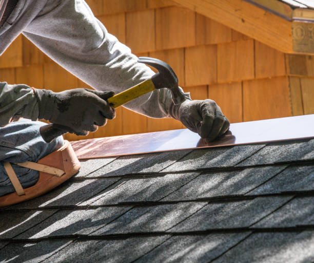 Best Local Roofing Companies  in Hill N Dale, FL